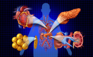 Image of how your diet impacts your endocrine system and diabetes.