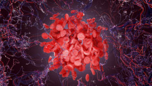 3D rendering of blood cells, chaotic arrangement on vein background.
